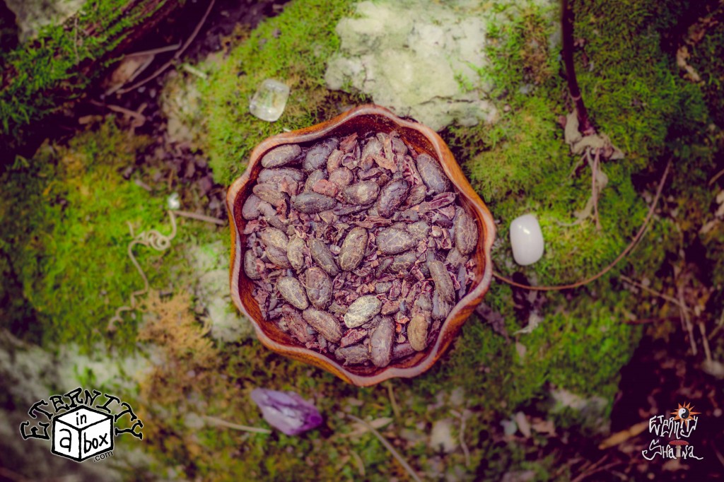 Ceremonial Cacao Beans *Organic & Unhybridized*