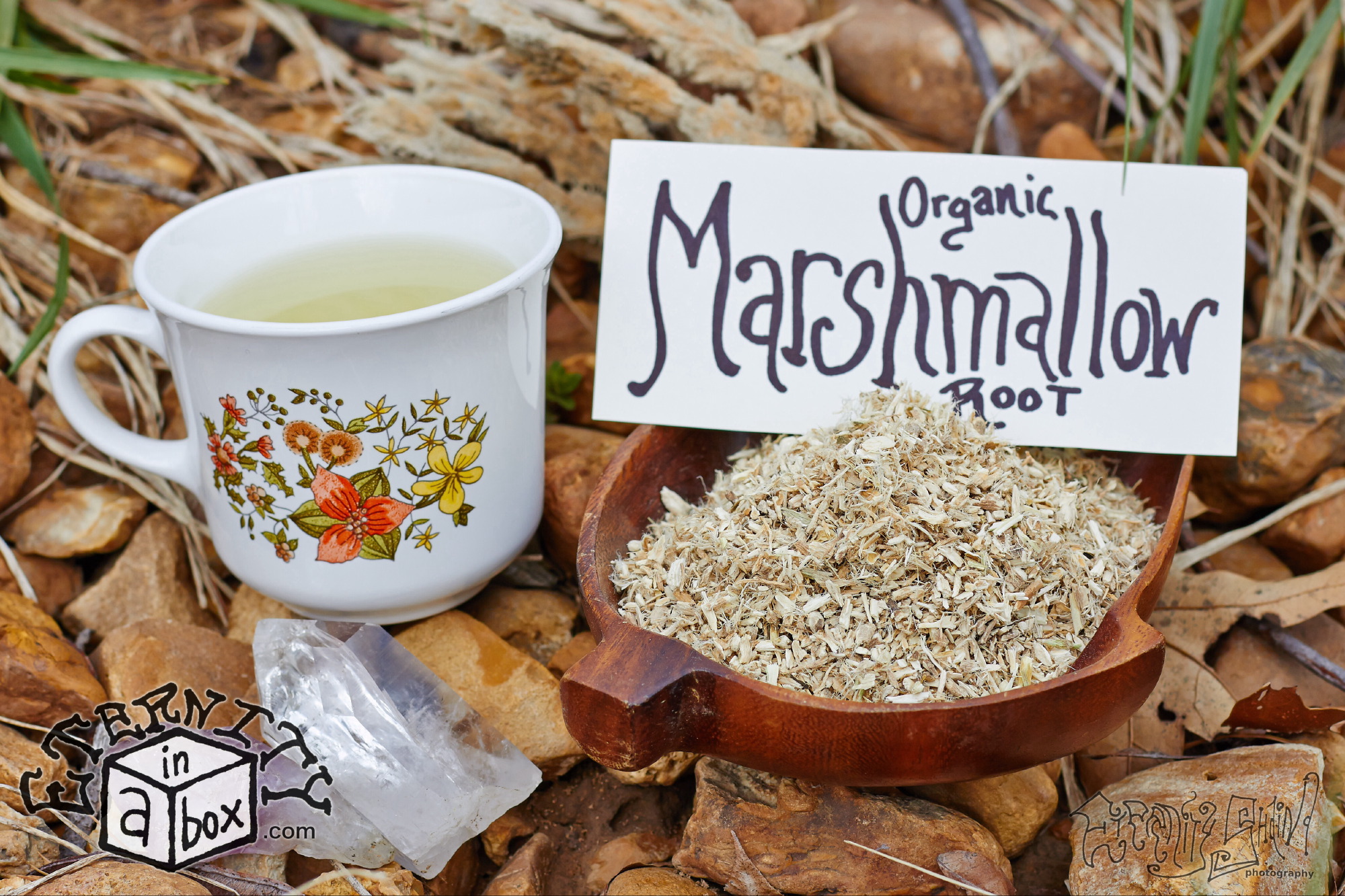 Marshmallow Root *Organic*