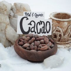 Cacao Beans Whole *Organic and Raw*