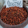 Celastrus Paniculatus Seeds ‘Intellect Tree’ *Organic*